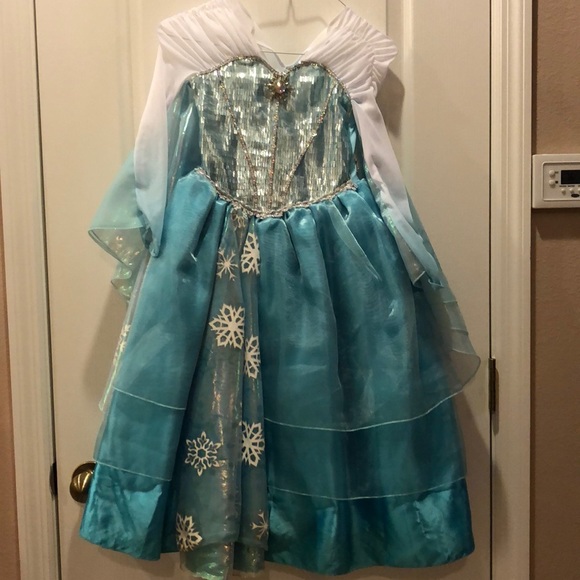 Disney Other - Original Disney Elsa dress from Disney world
